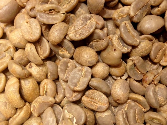 生豆のハンドピック