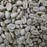 コーヒーカビ毒が体調不良の原因?安心なコーヒーを入手する方法
