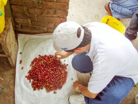 コロンビアの小規模農園