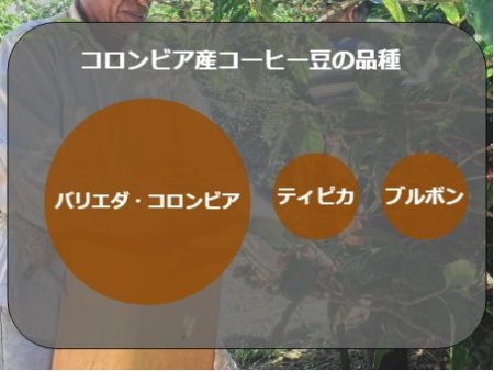 コロンビアのコーヒー豆の品種