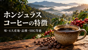 ホンジュラスコーヒーの特徴｜味・6大産地・品種・SHG等級をわかりやすく解説