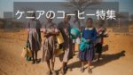 ケニアのコーヒー豆の特徴~おすすめの産地や農園と等級の選び方について