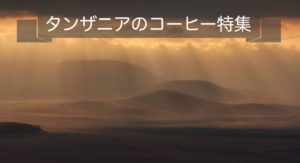 タンザニアコーヒーの特徴｜キリマンジャロとの違い・AA等級・産地・おすすめを解説