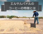 エルサルバドルのコーヒー豆の特徴~産地や種類と等級について