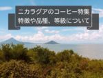 ニカラグアのコーヒー豆の特徴~産地や種類と等級について