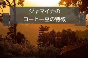 ジャマイカのコーヒー豆の特徴～産地や種類と等級について