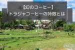 幻のコーヒーと呼ばれるトラジャの特徴|産地や種類、等級について