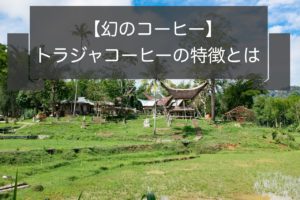 幻のコーヒーと呼ばれるトラジャの特徴|産地や種類、等級について