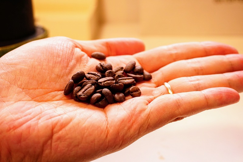 土居珈琲のラ・レフォルマ農園のコーヒー豆