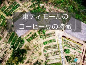 東ティモールのコーヒー豆の特徴~産地や種類と等級について