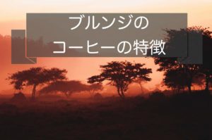 ブルンジのコーヒー豆の特徴～産地や種類と等級について