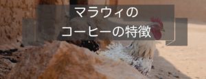 マラウィのコーヒーの特徴