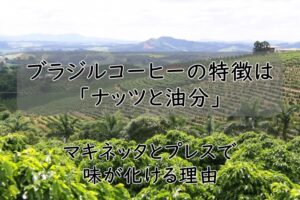 ブラジルコーヒーの特徴は「ナッツと油分」｜マキネッタとプレスで味が化ける理由