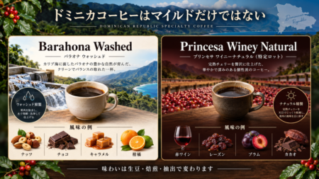 Barahona Washed vs Princesa Winey Natural