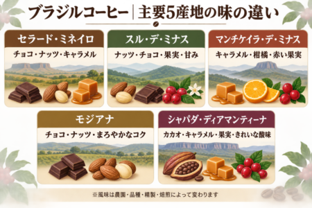 ブラジルコーヒー｜主要5産地の味の違い