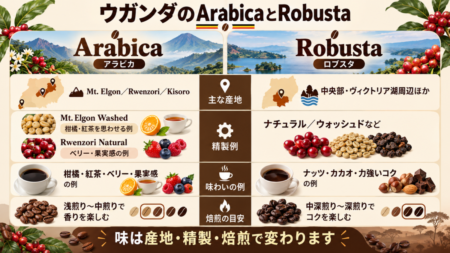 ウガンダのArabicaとRobustaの違い
