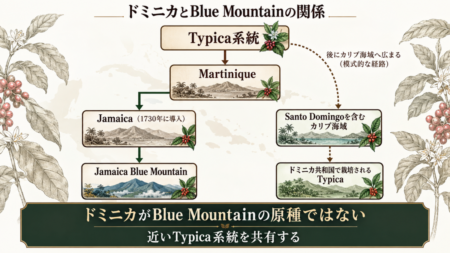 ドミニカとBlue Mountainの関係