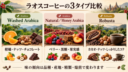 ラオスコーヒーの3タイプ比較
