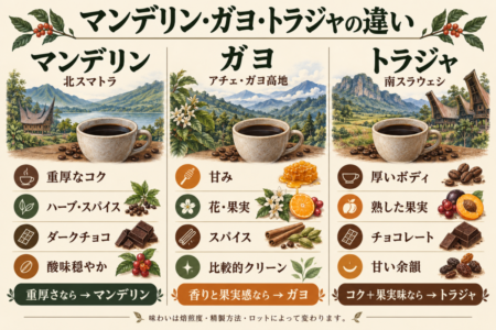 マンデリンとどう違う?ガヨ・トラジャ・カロシとの違い