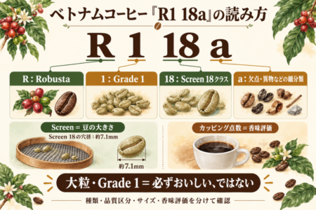 ベトナムコーヒーのR1 18aと等級・スクリーンの読み方