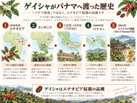 ゲイシャコーヒーがエチオピアからパナマへ渡った歴史